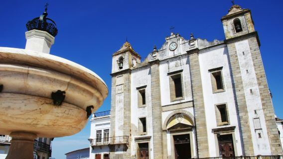 Evora: Guided City Tour + Wine Tasting