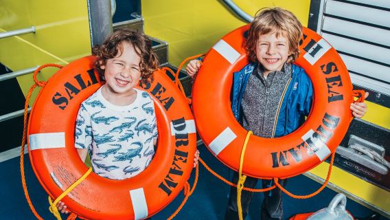 Half Day Whale Watching Tour from Vancouver