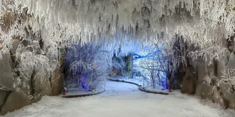 室內霧凇+隕石雨陳列館+水師營博物館+吉海鐵路總站舊址一日遊