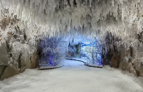 室內霧凇+隕石雨陳列館+水師營博物館+吉海鐵路總站舊址一日遊