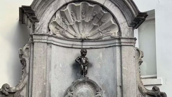 tour di un giorno in Belgio: Bruxelles e Bruges [Auto di lingua cinese] [Servizio di alta qualità]