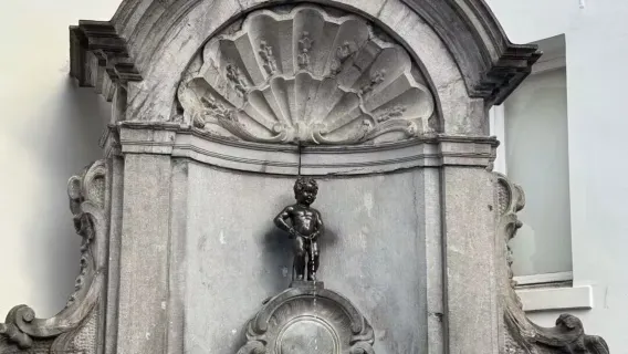 Belgium 1-day tour: Brussels and Bruges [Chinese-Speaking Car] [High-Quality Service]