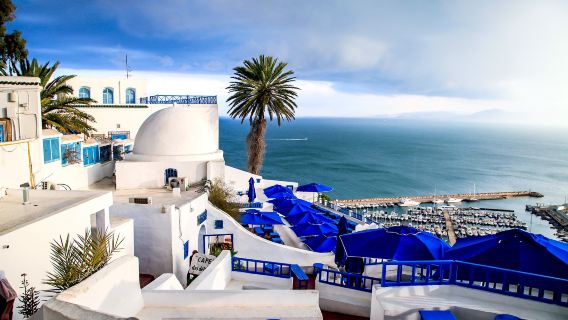 ทัวร์รถส่วนตัวภาษาจีน/อังกฤษในตูนิส เมดินาแห่งตูนิส+ซากเมืองคาร์เธจ+เมืองสีฟ้า-ขาว