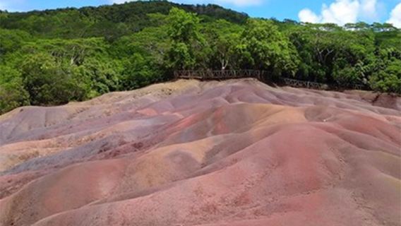 Southern Mauritius Scenic Tour: Chamarel Seven Colored Earth Geopark, Le Morne Brabant, and Mountaintop Restaurant