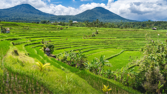 KalipuroTour Trong Ngày