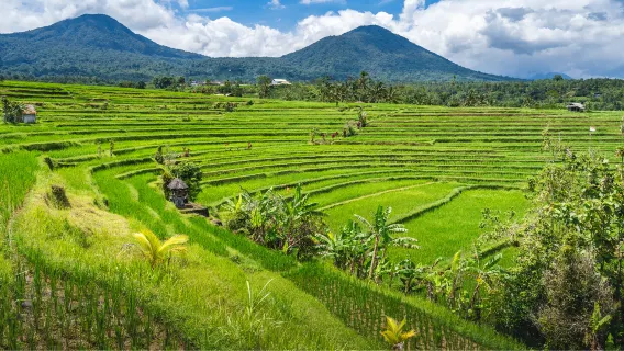 Tour chụp ảnh Instagram Bắc Bali