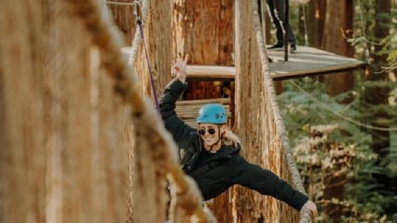 Rotorua: Cuộc phiêu lưu trên dây thừng ở độ cao Redwoods