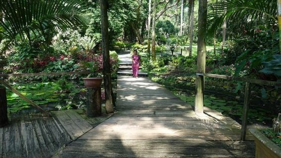 FIJI: Garden of the Sleeping Giant