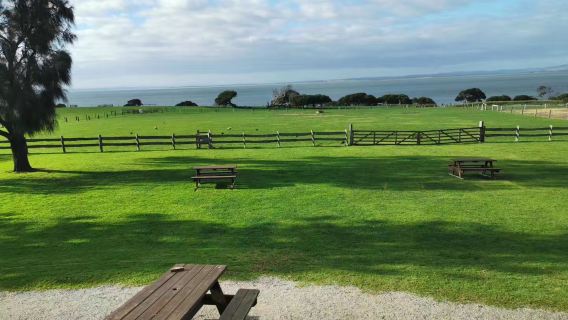 Tour di un giorno/mezza giornata all'isola di Phillip in Australia (possibilità di noleggio auto privata)