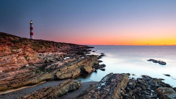 Dunrobin Castle and Dornoch 1-day tour in England|Beautiful scenery of NC500 Highway|Exquisite small group