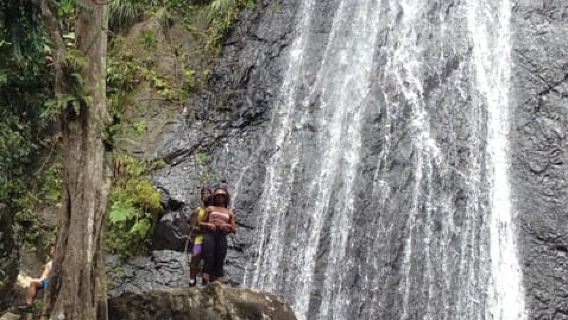 San Juan: Lawatan Berpandu Hutan Hujan El Yunque