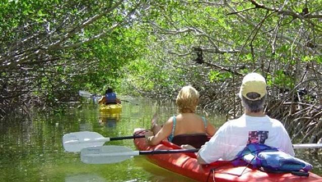 ZANZIBAR : Kayak tour in mangrove forest with fruits