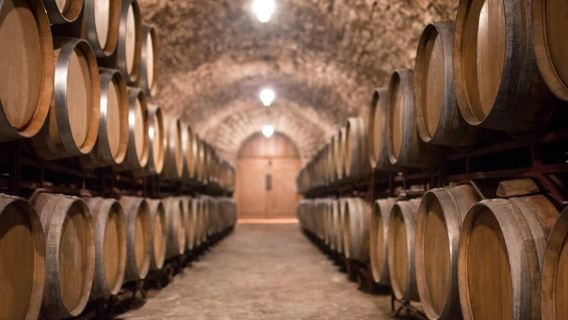 From Salou: Priorat olive trees and wine tour