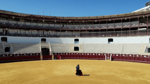 Malaga: tour dell'arena della Malagueta e mostra immersiva