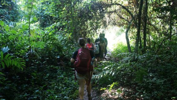 Vang Vieng: Jungle & Caves Full-Day Private Trekking Tour