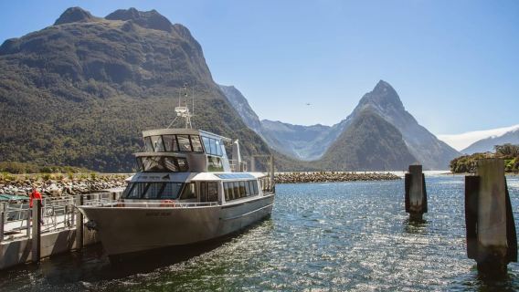 Из Квинстауна: круиз по заливу Милфорд-Саунд и живописная поездка