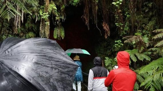 오아후와 호텔 PU에서 출발하는 빅 아일랜드 하와이 화산 일일 투어