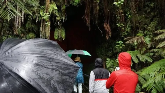 Tour giornaliero al vulcano della Big Island Hawaii da Oahu con prelievo dall'hotel