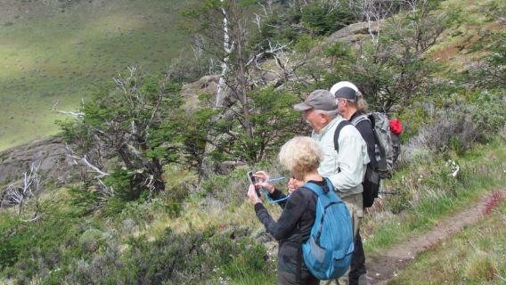 Puerto Natales: Cerro Benitez Half-Day Hike with Condors