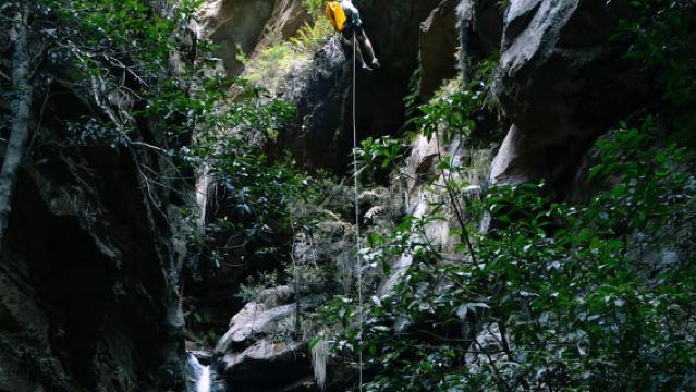 Montagnes Bleues : Excursion d'Aventure en Descente en Rappel et Canyon Juggler
