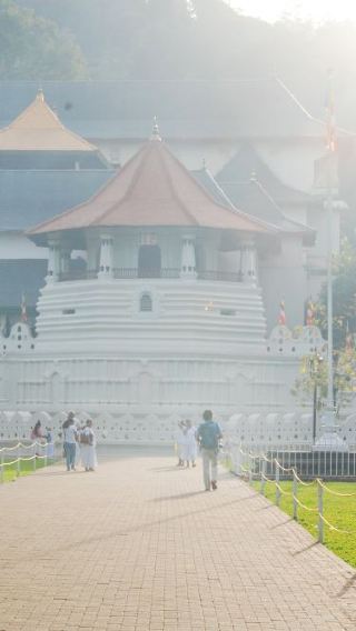 ทัวร์ 1 วันเหมารถพร้อมไกด์ภาษาอังกฤษ ศูนย์อนุรักษ์ช้างโคลัมโบ - สวนพฤกษศาสตร์แคนดี - ทะเลสาบแคนดี ศรีลังกา