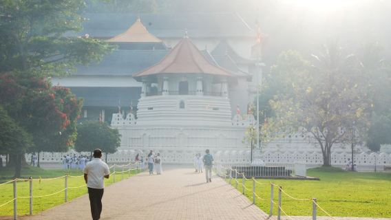 perjalanan satu hari Sri Lanka + Laguna Negombo + Pantai Negombo + Pasar Ikan Pusat Negombo