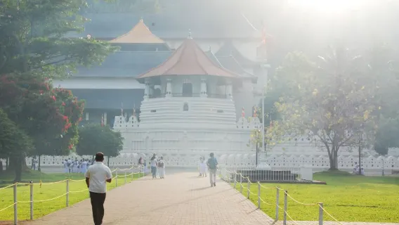 스리랑카 + 네곰보 라군 + 네곰보 해변 + 네곰보 중앙 어시장 당일 치기 여행
