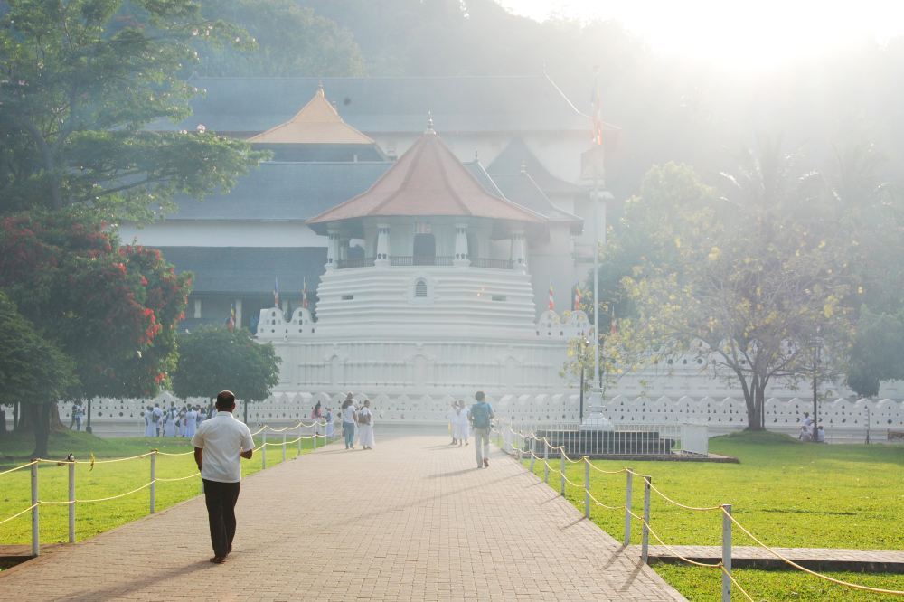 斯里蘭卡科倫坡大象孤兒院-康提植物園-康提湖｜中文包車一日遊