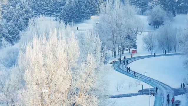 【雪鄉◆包車◆自由無拘束】中國雪鄉+亞布力滑雪旅遊度假區一日用車【包車遊】