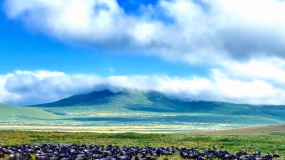 坦尚尼亞【恩戈羅戈羅火山口全天遊獵】