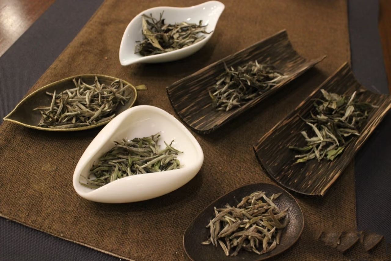 Hangzhou: Jiuchuanghui Tea Space + Studio d'Arte del Tè (Assaporare il Tè in Solitudine + Socializzare con il Tè + Imparare a Valutare la Porcellana)