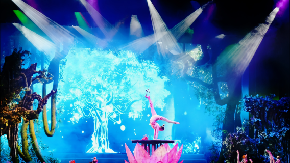 Entrada del espectáculo nocturno "El Santo Elefante de Leshan Emei" (Exhibición de artes marciales Emei patrimonio cultural inmaterial + deslumbrante espectáculo de danzas folclóricas + escenario inmersivo con paisajes naturales + impactante experiencia audiovisual)