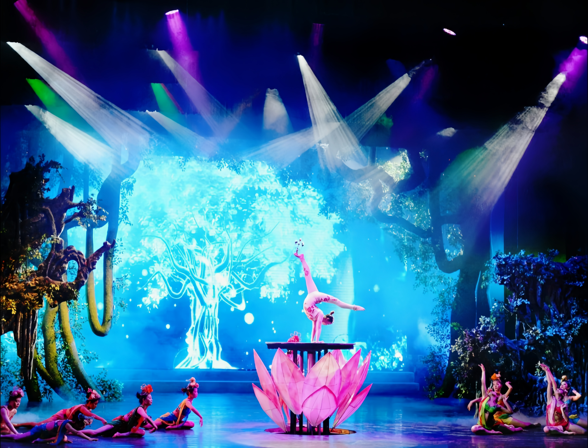 Leshan Holy Elephant Emei Evening Show Ticket (Intangible Cultural Heritage Emei Martial Arts Performance + Stunning Ethnic Song and Dance Show + Immersive Landscape Stage Art + Dual Visual and Audio Spectacle)