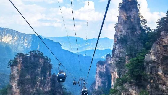 Zhangjiajie, Cina · Tour giornaliero nel Parco Forestale con noleggio con conducente esclusivo (8 ore con autista parlante cinese)