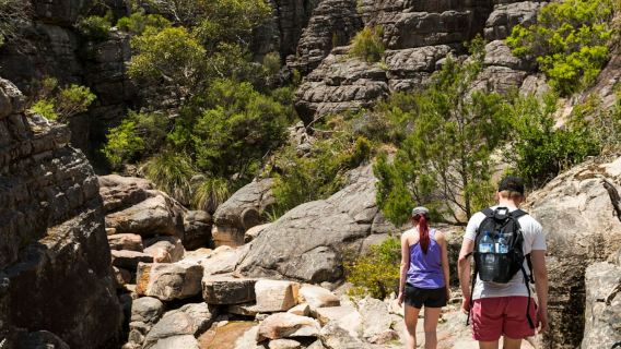 อุทยานแห่งชาติแกรมเปียนส์: ทริปเที่ยวแบบไปเช้าเย็นกลับ พร้อมบริการรถรับส่งจากเมลเบิร์น