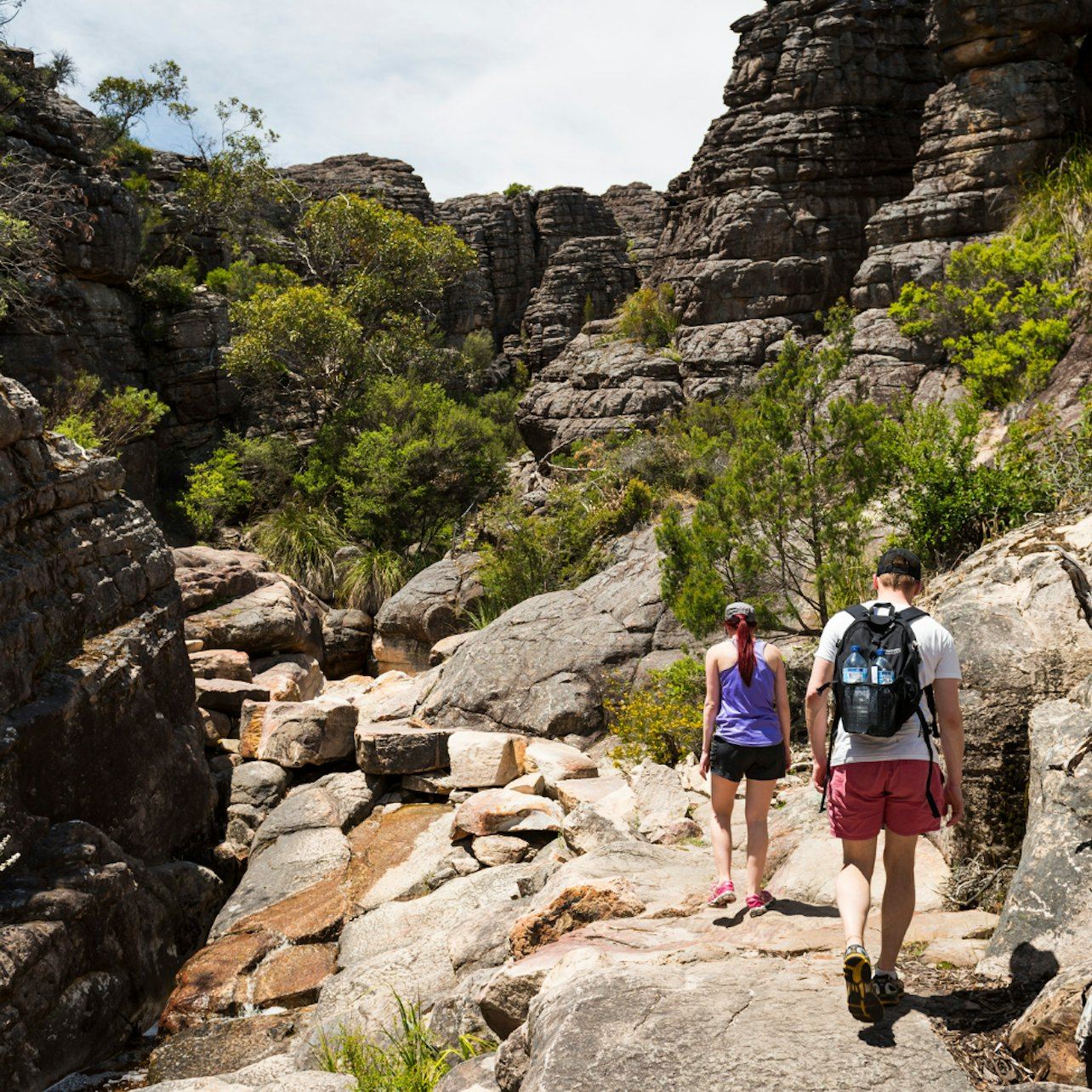 อุทยานแห่งชาติแกรมเปียนส์: ทริปเที่ยวแบบไปเช้าเย็นกลับ พร้อมบริการรถรับส่งจากเมลเบิร์น