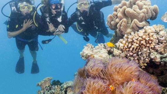 Ocean Freedom Great Barrier Reef Tour
