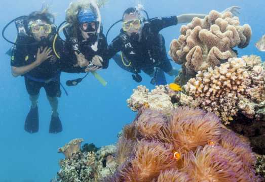 Ocean Freedom Great Barrier Reef Tour AUD 289.71