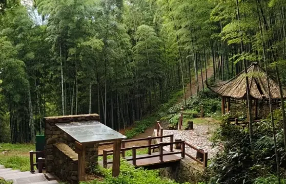 【2-8人小團·打卡廣德三件套】笄山竹海+靈山大峽谷一日遊