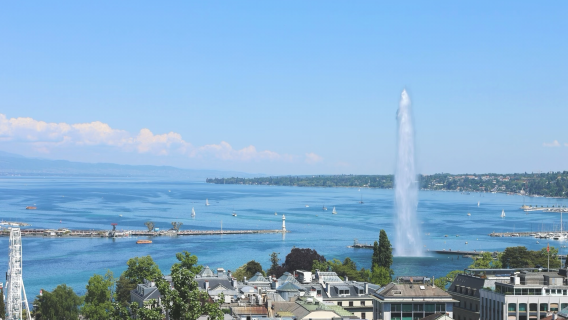 Geneva Panoramic Day Tour | Palais des Nations + Jet d'Eau + L'Horloge Fleurie + Old Town, In-depth Exploration of Lake and Mountain Views