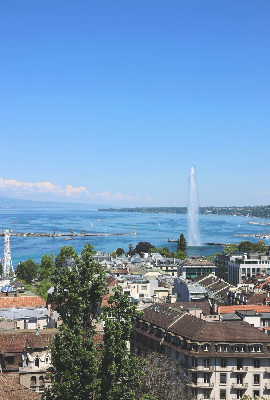 日內瓦全景1日遊｜萬國宮+大噴泉+花鐘+老城，湖光山色深度遊