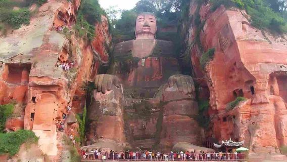 樂山大佛+熊貓基地一日【VIP包車遊1單1團1車-專車接駁】