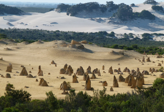 The Pinnacles Desert + Nambung National Park + Yanchep + Swan Valley + Cervantes day tour AUD 233.34