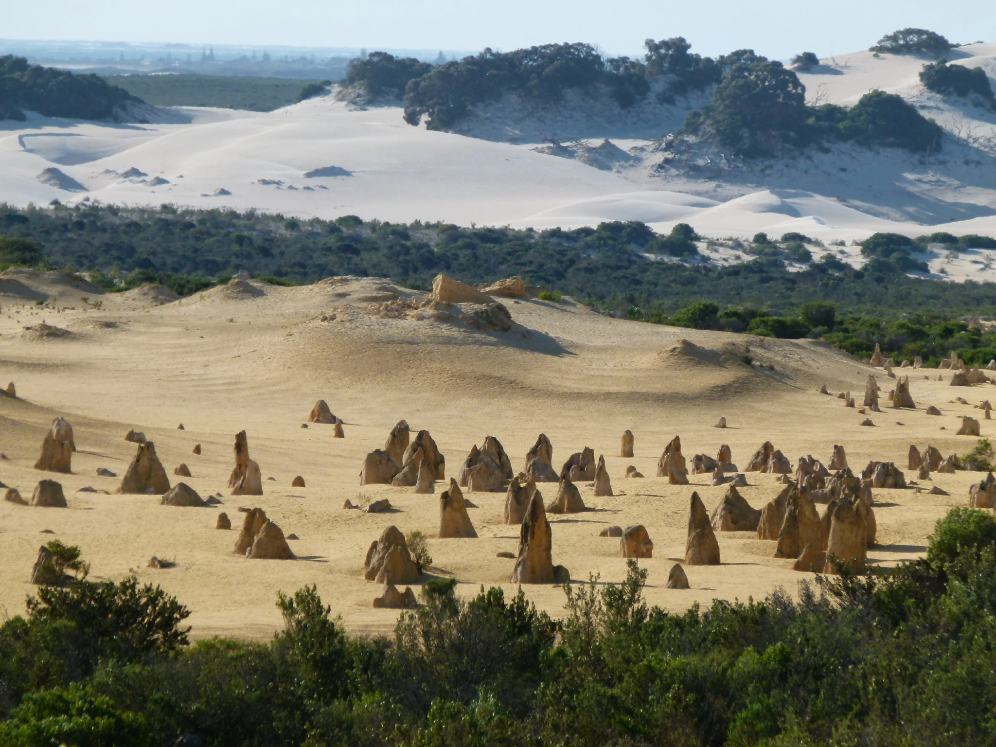 Pinnacles + Nambung-Nationalpark + Yanchep + Swan Valley + Cervantes Tagesausflug
