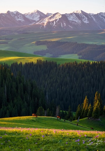 喀拉峻拼車一日遊【6人小團·上門接送·贈無人機航拍】