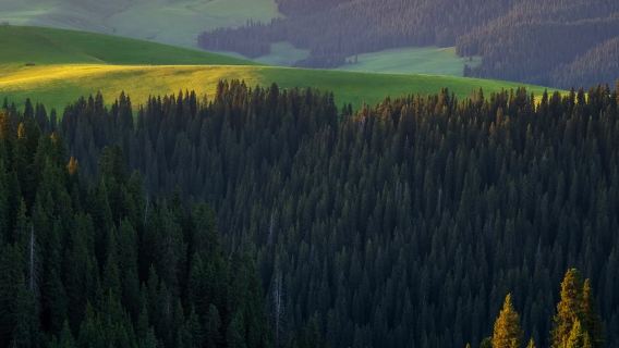 喀拉峻拼車一日遊【6人小團·上門接送·贈無人機航拍】
