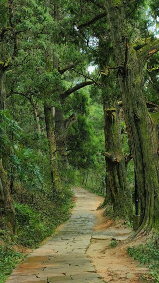 1-day tour to Jianmen Pass + Cuiyunlang + Huangzesi in Guangyuan, Sichuan with bilingual Chinese-English service