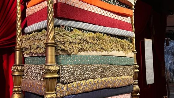 丹麥哥本哈根來回-歐登塞-安徒生童話故鄉親子線-包車-精選