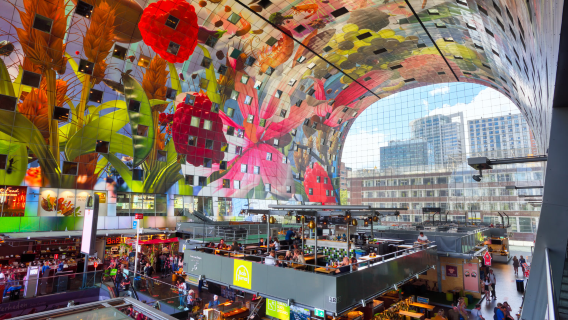 Kijk-Kubus Museum-house + Markthal + Madurodam + Inner Court & Hall Of The Knights