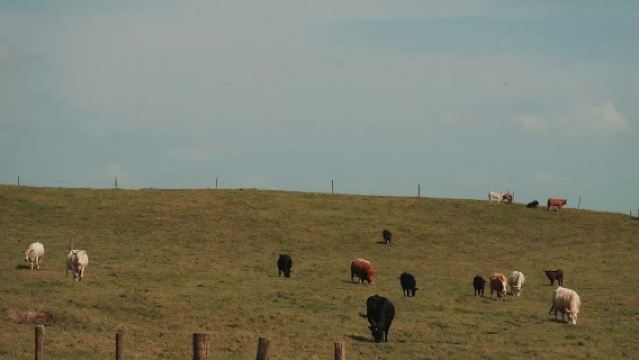愛爾蘭都柏林來回-莫赫懸崖【都柏林秘境 可定制全境包車】